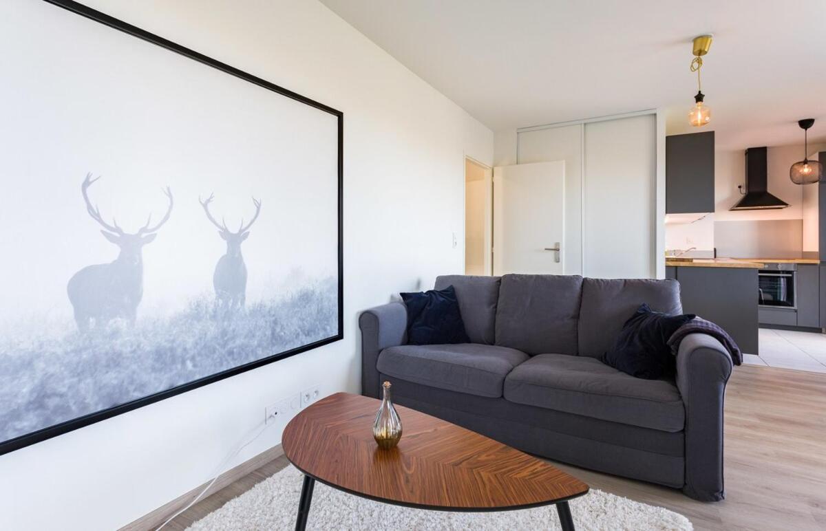 Le Rio, Appartement Avec Terrasse & Parking 雷恩 外观 照片